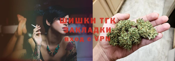 мет Ельня