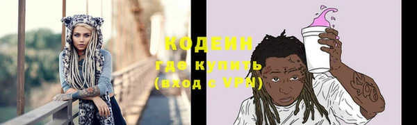 ПСИЛОЦИБИНОВЫЕ ГРИБЫ Заволжье